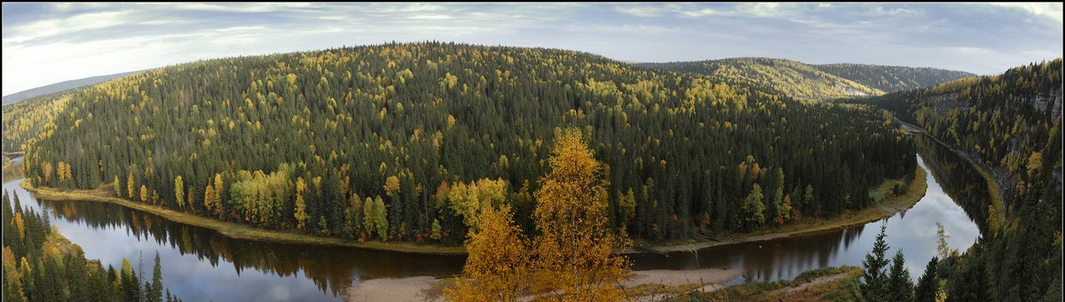 Птицы пермского края фото